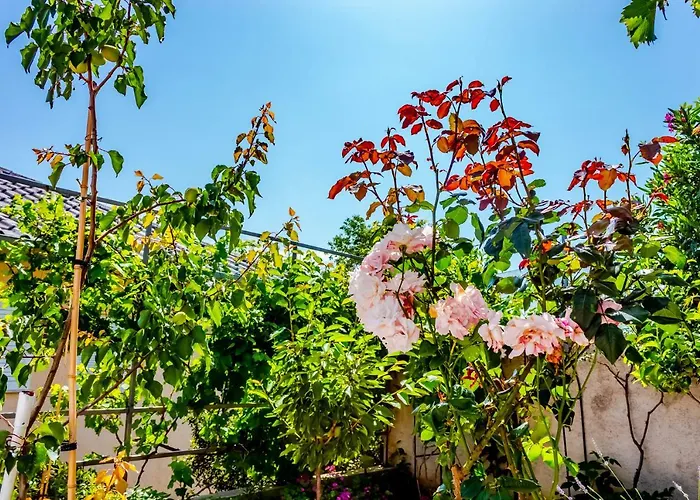 Mia * Novi Vinodolski